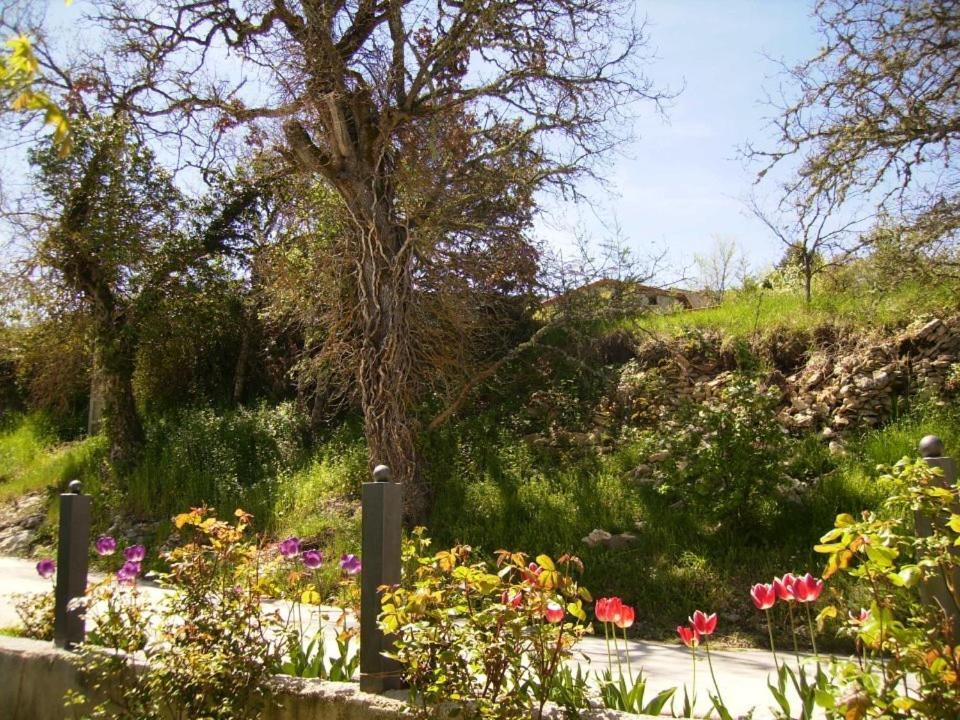 Casa Rural Fuentetrigo Brizuela Luaran gambar